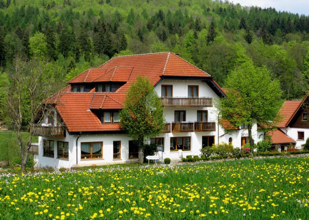 Rhoen-Hotel Sonnenhof - Restaurant & Cafe 波彭豪森 外观 照片